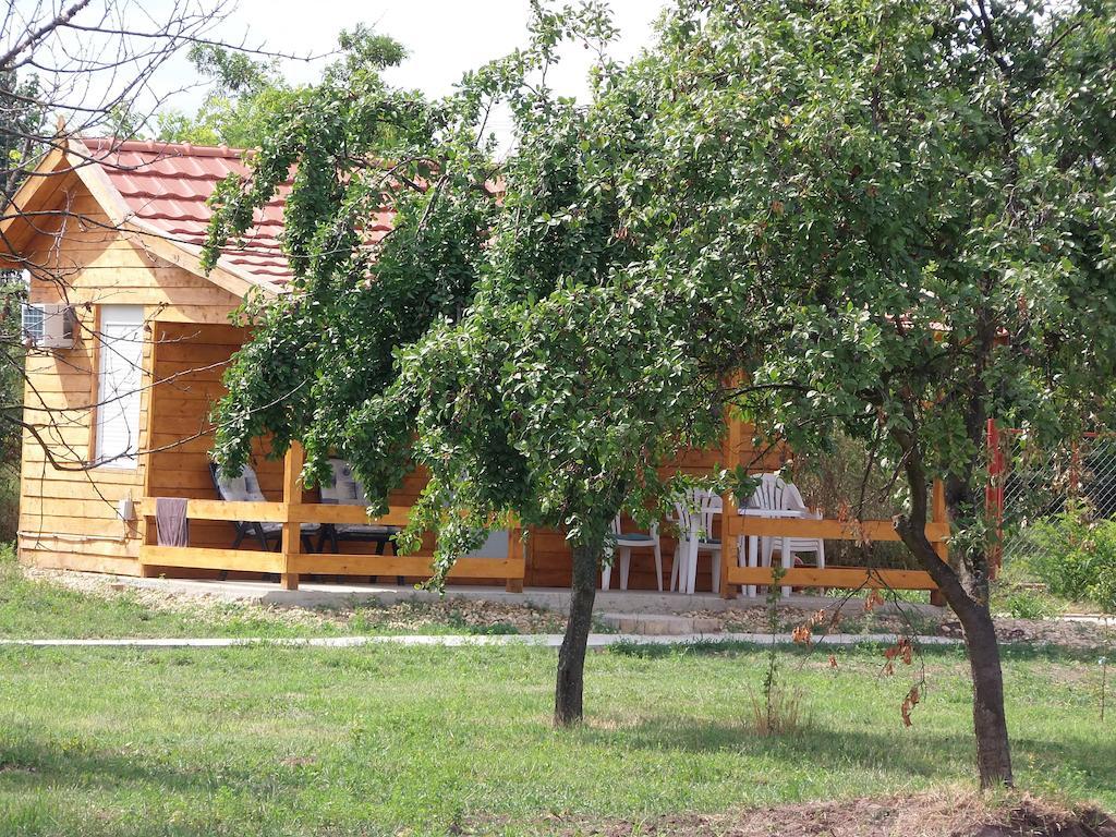 Pusztaeldorado Tiszagyenda Ngoại thất bức ảnh
